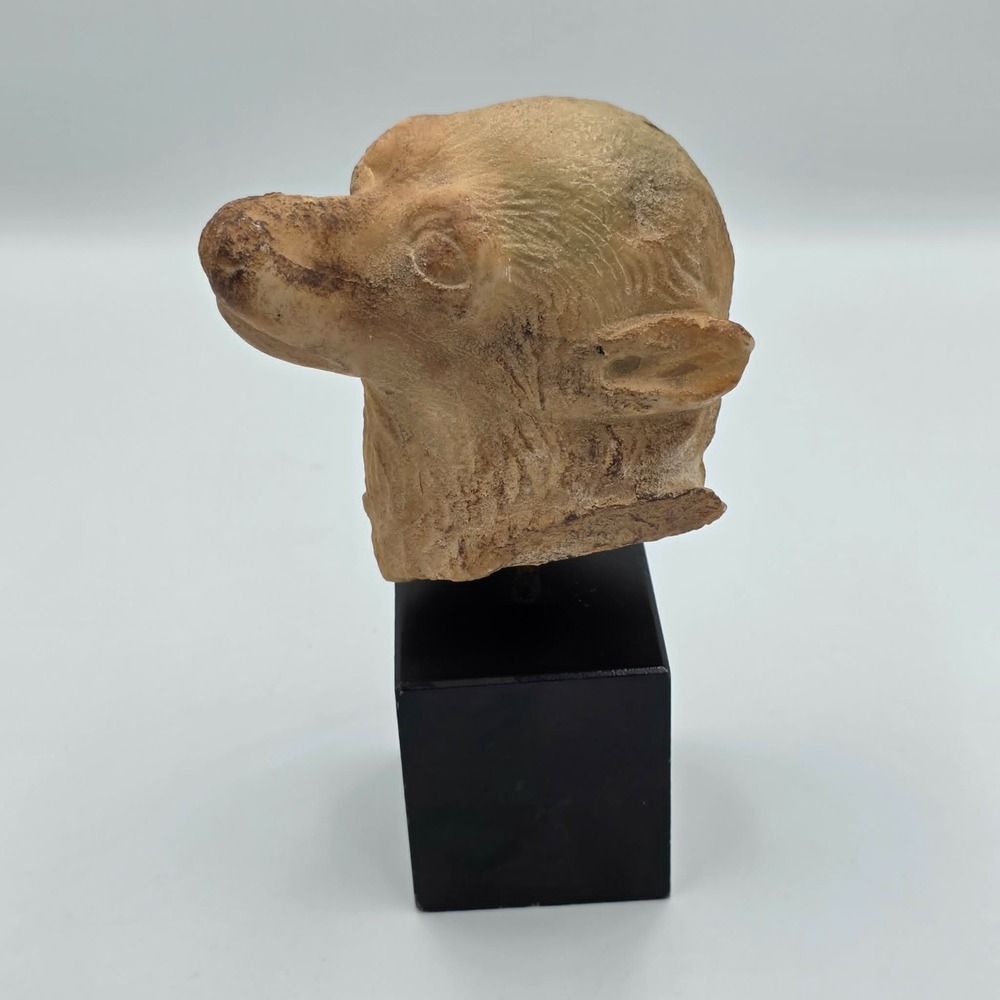 Faithful Dog Figurine Sculpture Pet Lover Collectible Terracotta/Clay Wood Base